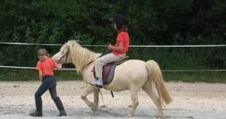 Equitation