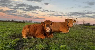 Ferme de la vallée des vaches