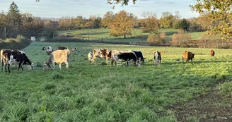 Ferme de la vallée des vaches