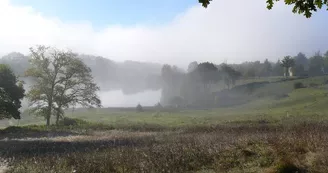 L'abeille des Monts de Blond 
