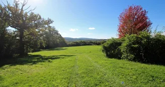 Maison des Roses à Virat, commune de Berneuil en Haute-Vienne, grand espace en pelouse avec vue sur Mont de Blond_3 Maison des Roses à Virat, commune de Berneuil en Haute-Vienne, grand espace en pelouse avec vue sur Mont de Blond_3