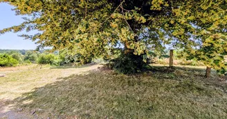 Gîte de Roger à Rulières sur la commune de Blond en Haute-Vienne - Nouvelle Aquitaine - le gros tilleul_3 Gîte de Roger à Rulières sur la commune de Blond en Haute-Vienne - Nouvelle Aquitaine - le gros tilleul_3
