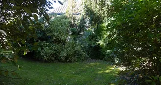 Jardin Jardin
