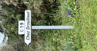 This way please!