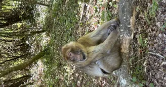Vallee des Sanges