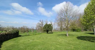 Gite "La Maison De Clémence" à Berneuil en Haute-Vienne (Limousin)- jardin_37 Gite "La Maison De Clémence" à Berneuil en Haute-Vienne (Limousin)- jardin_37
