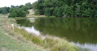 Gite "Les Bonnes Fontaines" à Cieux en Haute-Vienne (Nouvelle Aquitaine)_25 Gite "Les Bonnes Fontaines" à Cieux en Haute-Vienne (Nouvelle Aquitaine)_25