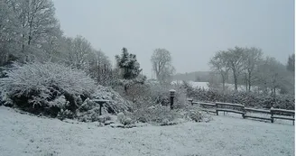 jardin sous la neige_20 jardin sous la neige_20