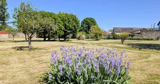 Gite "Le Bourg" à Lussac-les-Eglises en Haute-Vienne (Limousin en Nouvelle Aquitaine)- le parc communal sur l'arrière_3 Gite "Le Bourg" à Lussac-les-Eglises en Haute-Vienne (Limousin en Nouvelle Aquitaine)- le parc communal sur l'arrière_3