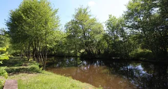 Au bord de la rivière à 100m du gîte de "La Rivaille " à Lussac-les-églises en Haute-Vienne (Limousin)_3 Au bord de la rivière à 100m du gîte de "La Rivaille " à Lussac-les-églises en Haute-Vienne (Limousin)_3