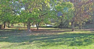 Gite de "Montbrugnaud " à Mailhac sur Benaize en Haute-Vienne - le sous bois en allant vers l'étang_38 Gite de "Montbrugnaud " à Mailhac sur Benaize en Haute-Vienne - le sous bois en allant vers l'étang_38