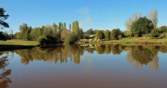 Gite de "Montbrugnaud " à Mailhac sur Benaize en Haute-Vienne - l'étang au bas du terrain_39 Gite de "Montbrugnaud " à Mailhac sur Benaize en Haute-Vienne - l'étang au bas du terrain_39