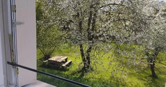 printemps .cerisier en fleur vue d'une chambre_21 printemps .cerisier en fleur vue d'une chambre_21
