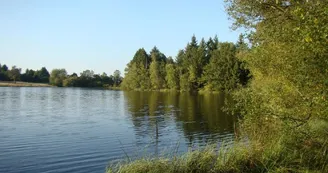 Etang - Gîte de Chasseneuil à Saint Symphorien sur Couze en Haute-Vienne (Limousin en Nouvelle Aquitaine)_4 Etang - Gîte de Chasseneuil à Saint Symphorien sur Couze en Haute-Vienne (Limousin en Nouvelle Aquitaine)_4