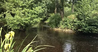 photo_2