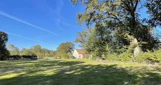 Jardin maison