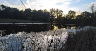 Etang