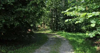 Gite La Ressourcerie à Puypérier - Saint Pardoux Le Lac en Haute-Vienne - le sentier de randonnée proche du gîte_3 Gite La Ressourcerie à Puypérier - Saint Pardoux Le Lac en Haute-Vienne - le sentier de randonnée proche du gîte_3