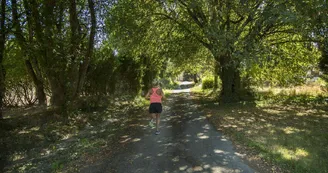 Gite La Thibarderie à Magnac Laval en Haute-Vienne (Limousin en Nouvelle Aquitaine)- La Thibarderie_29 Gite La Thibarderie à Magnac Laval en Haute-Vienne (Limousin en Nouvelle Aquitaine)- La Thibarderie_29