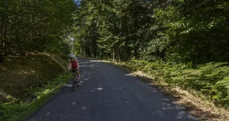 Gite La Thibarderie à Magnac Laval en Haute-Vienne (Limousin en Nouvelle Aquitaine)- Petite route près de La Thibarderie_28 Gite La Thibarderie à Magnac Laval en Haute-Vienne (Limousin en Nouvelle Aquitaine)- Petite route près de La Thibarderie_28