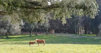 roulottes vu roulottes vu