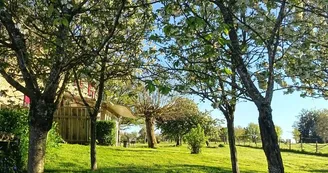 LES ARBRES FRUITIERS 