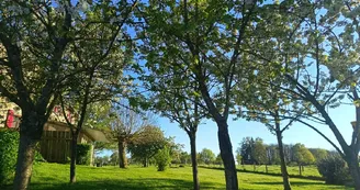 Arbres fruitiers 