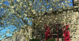 Arbres fruitiers
