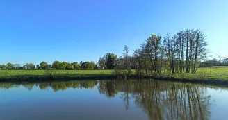 Etang