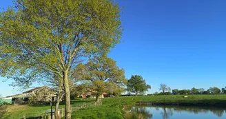 Etang