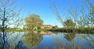 Etang