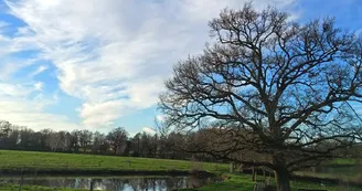 L'ETANG