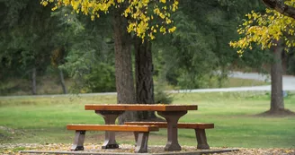 Table de pique-nique