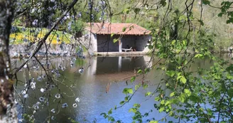 petit lavoir