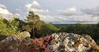 Frochet Paysage 