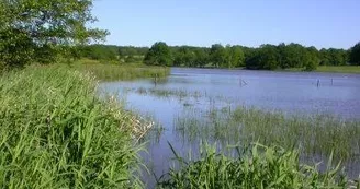 Etang de Murat.
Crédit photo : CREN_1