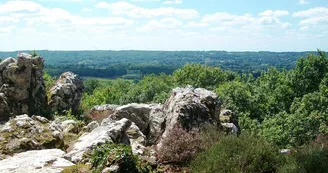 ButteFrochetHautLimousin_3