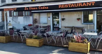 Le Vieux Cèdre - Le Dorat Le Vieux Cèdre - Le Dorat