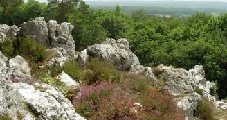 Circuit de la lande de Frochet_1