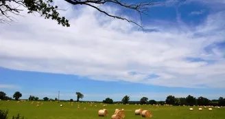 La Traversée du Haut Limousin_2