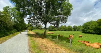 Voie Verte du Haut Limousin