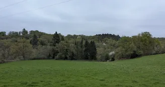 PXL_20260410_080422210