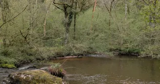 PXL_20260410_082224184.MP