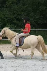 Equitation