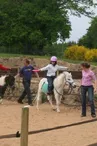 les poneys du mas massou_2