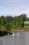 Gite de "Montbrugnaud " à Mailhac sur Benaize en Haute-Vienne (Limousin)_1