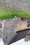 IMG_0445